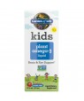 Kids Plant Omega-3 Strawberry 2 fl oz (57.5ml) Liquid
